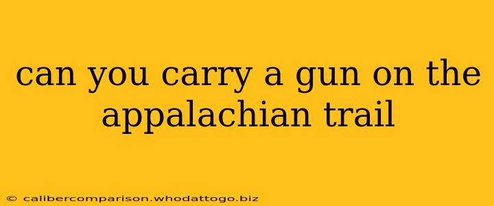 can you carry a gun on the appalachian trail