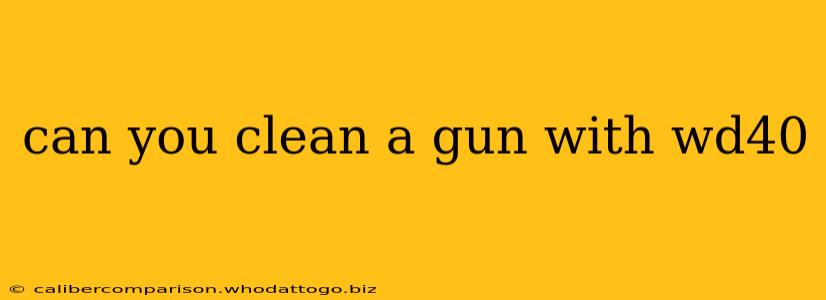 can you clean a gun with wd40