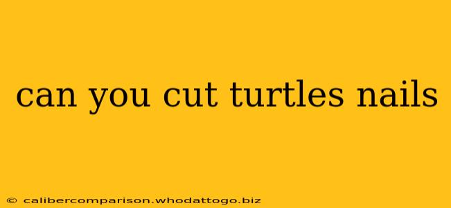 can you cut turtles nails