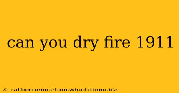 can you dry fire 1911