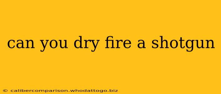 can you dry fire a shotgun