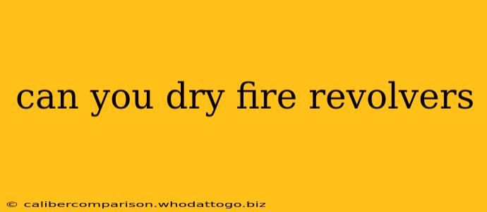 can you dry fire revolvers