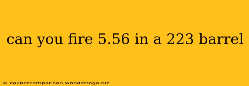 can you fire 5.56 in a 223 barrel