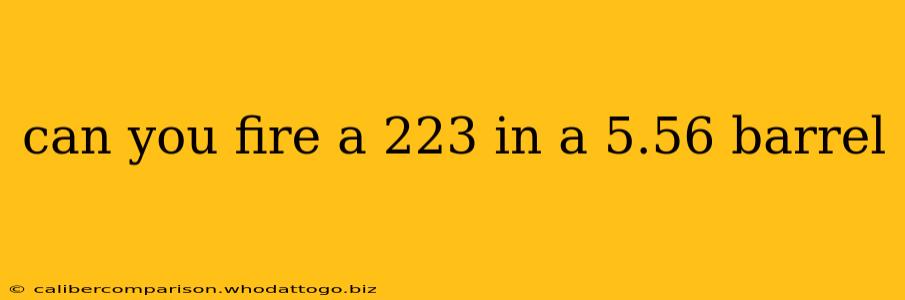 can you fire a 223 in a 5.56 barrel