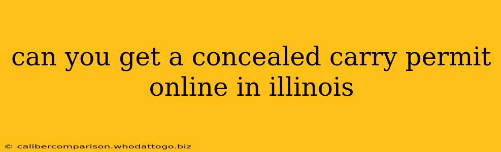 can you get a concealed carry permit online in illinois