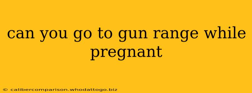 can you go to gun range while pregnant