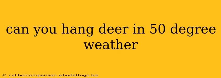 can you hang deer in 50 degree weather