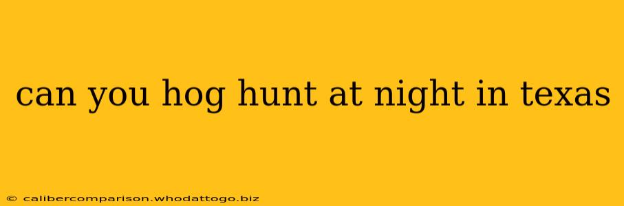 can you hog hunt at night in texas