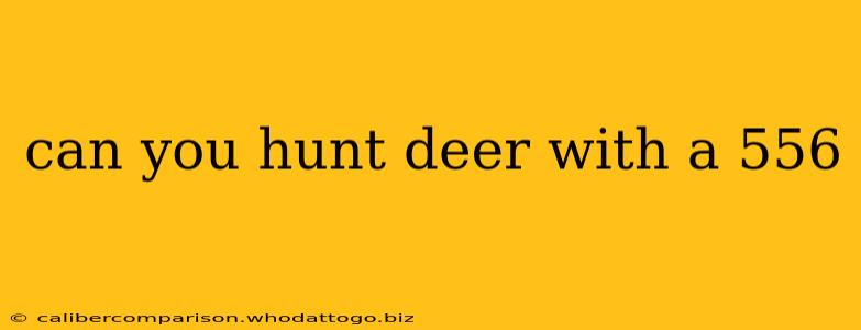 can you hunt deer with a 556