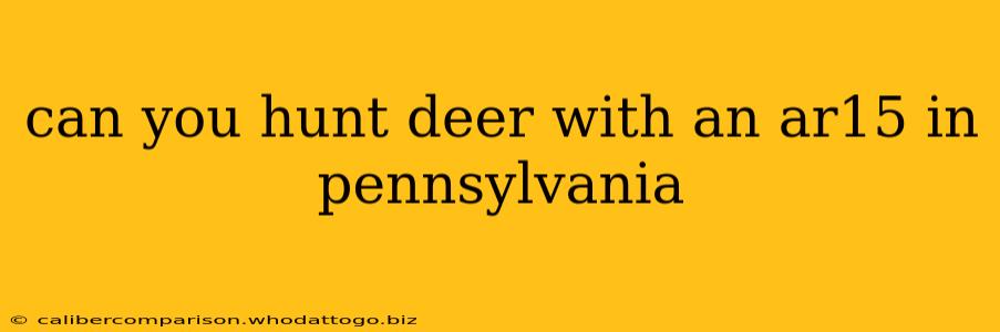 can you hunt deer with an ar15 in pennsylvania