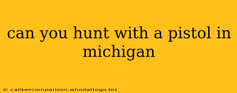 can you hunt with a pistol in michigan