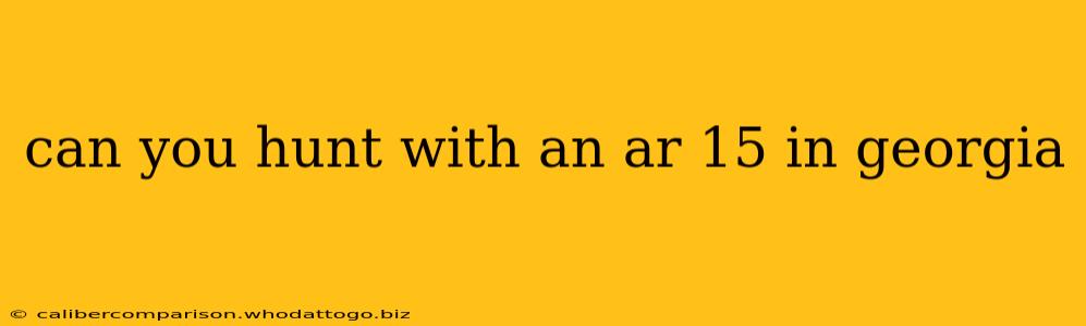 can you hunt with an ar 15 in georgia