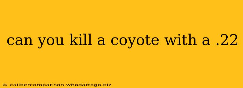 can you kill a coyote with a .22