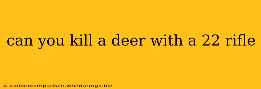 can you kill a deer with a 22 rifle