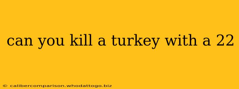 can you kill a turkey with a 22