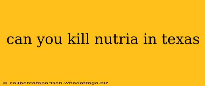 can you kill nutria in texas