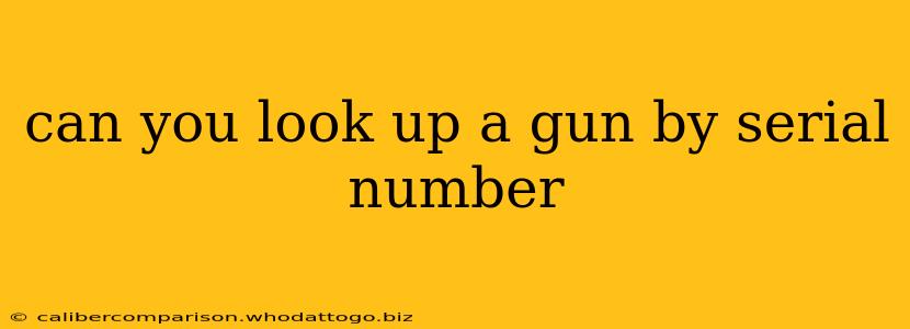 can you look up a gun by serial number