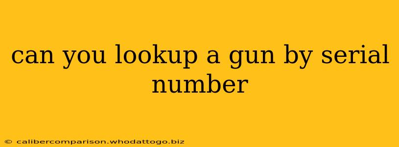 can you lookup a gun by serial number