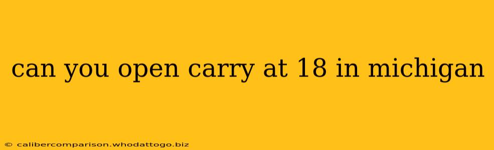 can you open carry at 18 in michigan