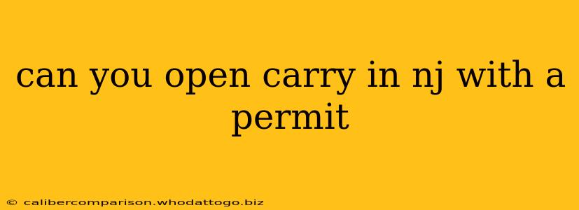 can you open carry in nj with a permit