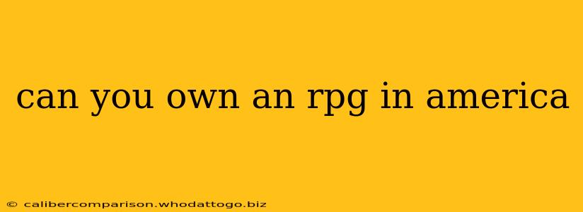 can you own an rpg in america