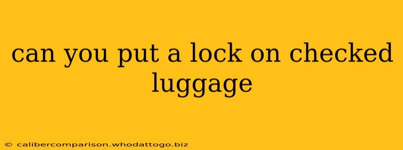 can you put a lock on checked luggage