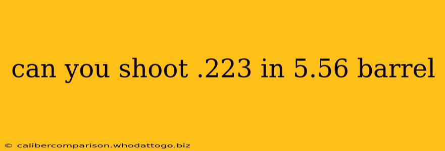 can you shoot .223 in 5.56 barrel