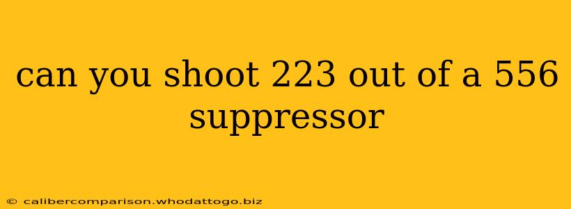 can you shoot 223 out of a 556 suppressor