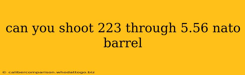 can you shoot 223 through 5.56 nato barrel