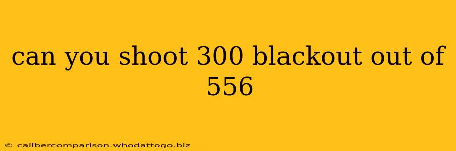 can you shoot 300 blackout out of 556