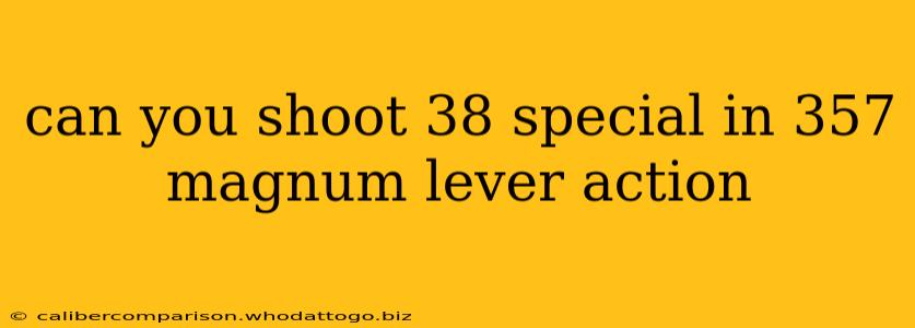 can you shoot 38 special in 357 magnum lever action