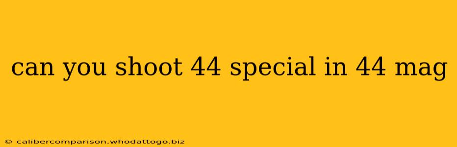 can you shoot 44 special in 44 mag