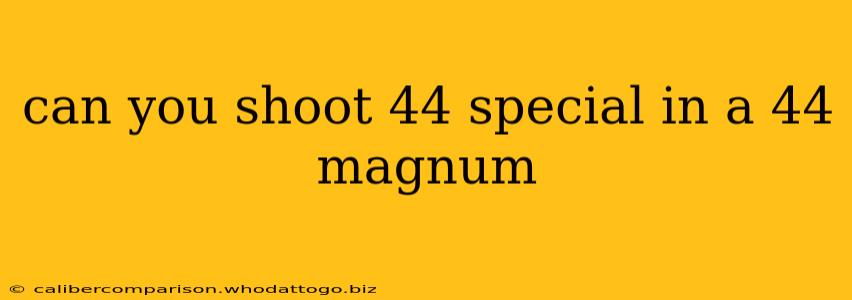 can you shoot 44 special in a 44 magnum