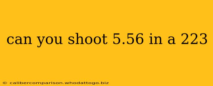 can you shoot 5.56 in a 223