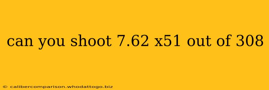 can you shoot 7.62 x51 out of 308