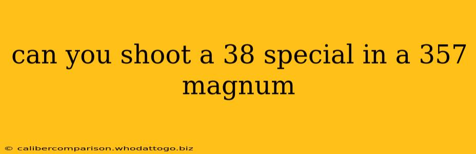 can you shoot a 38 special in a 357 magnum