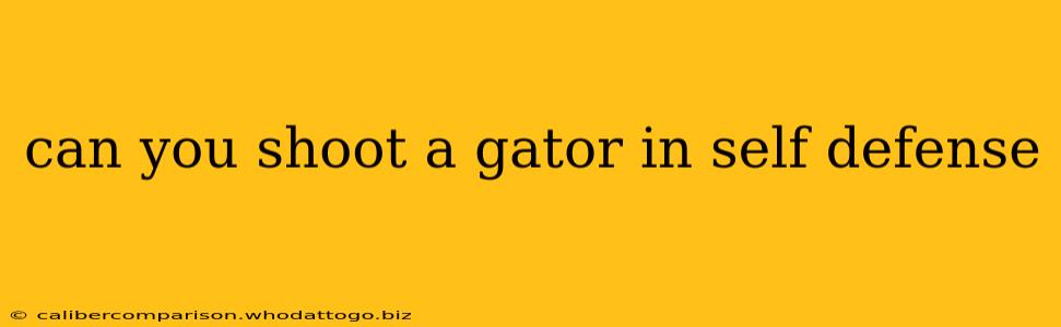 can you shoot a gator in self defense