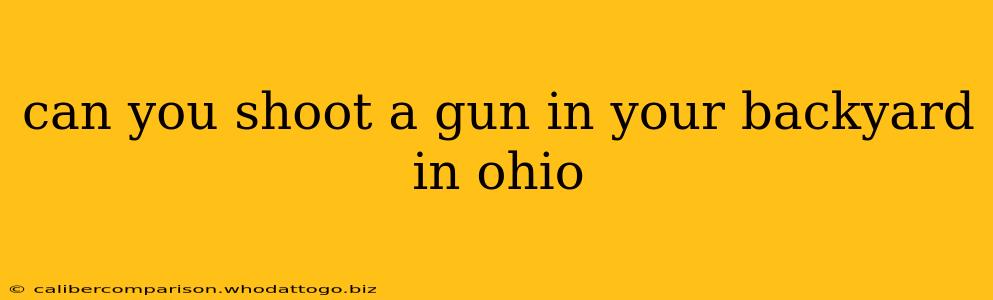 can you shoot a gun in your backyard in ohio