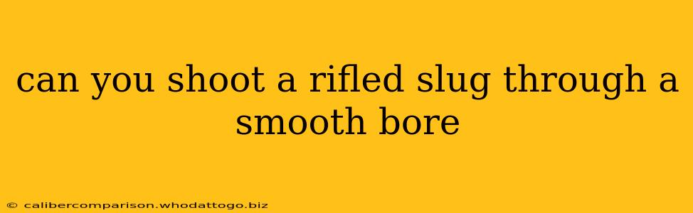 can you shoot a rifled slug through a smooth bore