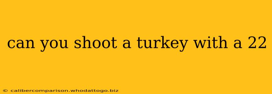 can you shoot a turkey with a 22