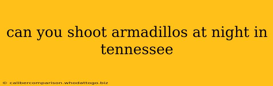 can you shoot armadillos at night in tennessee