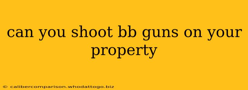 can you shoot bb guns on your property