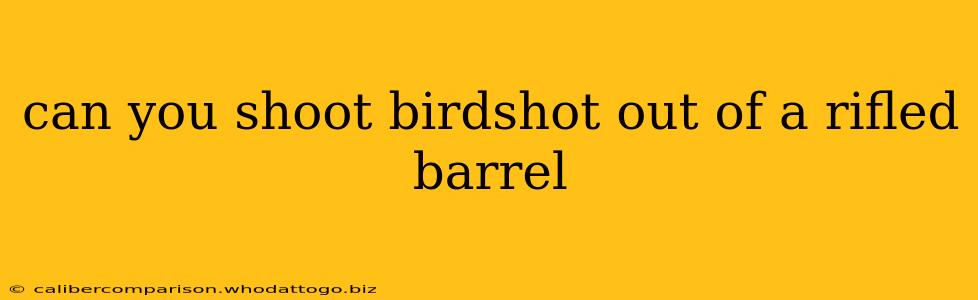 can you shoot birdshot out of a rifled barrel