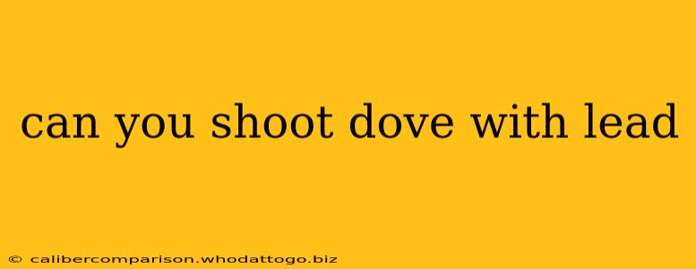 can you shoot dove with lead