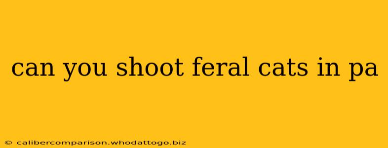 can you shoot feral cats in pa