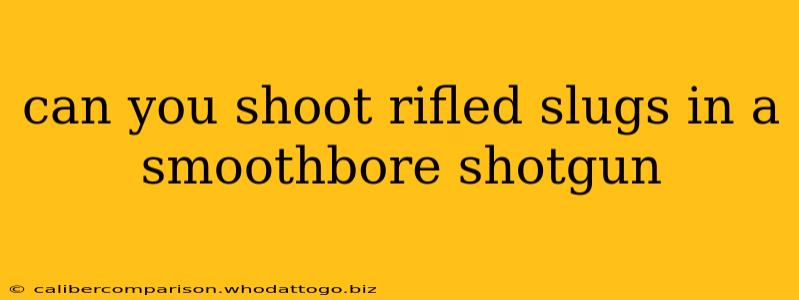 can you shoot rifled slugs in a smoothbore shotgun