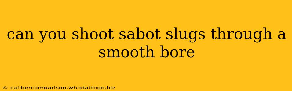 can you shoot sabot slugs through a smooth bore