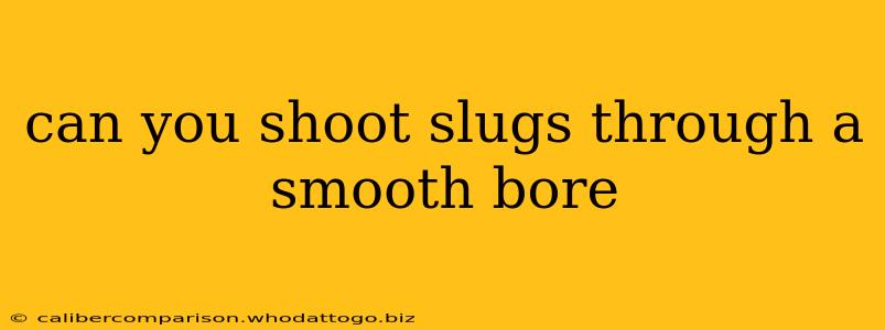 can you shoot slugs through a smooth bore