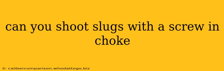 can you shoot slugs with a screw in choke