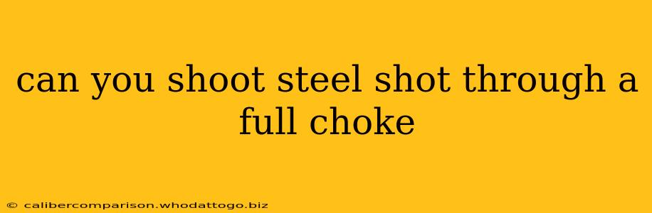 can you shoot steel shot through a full choke